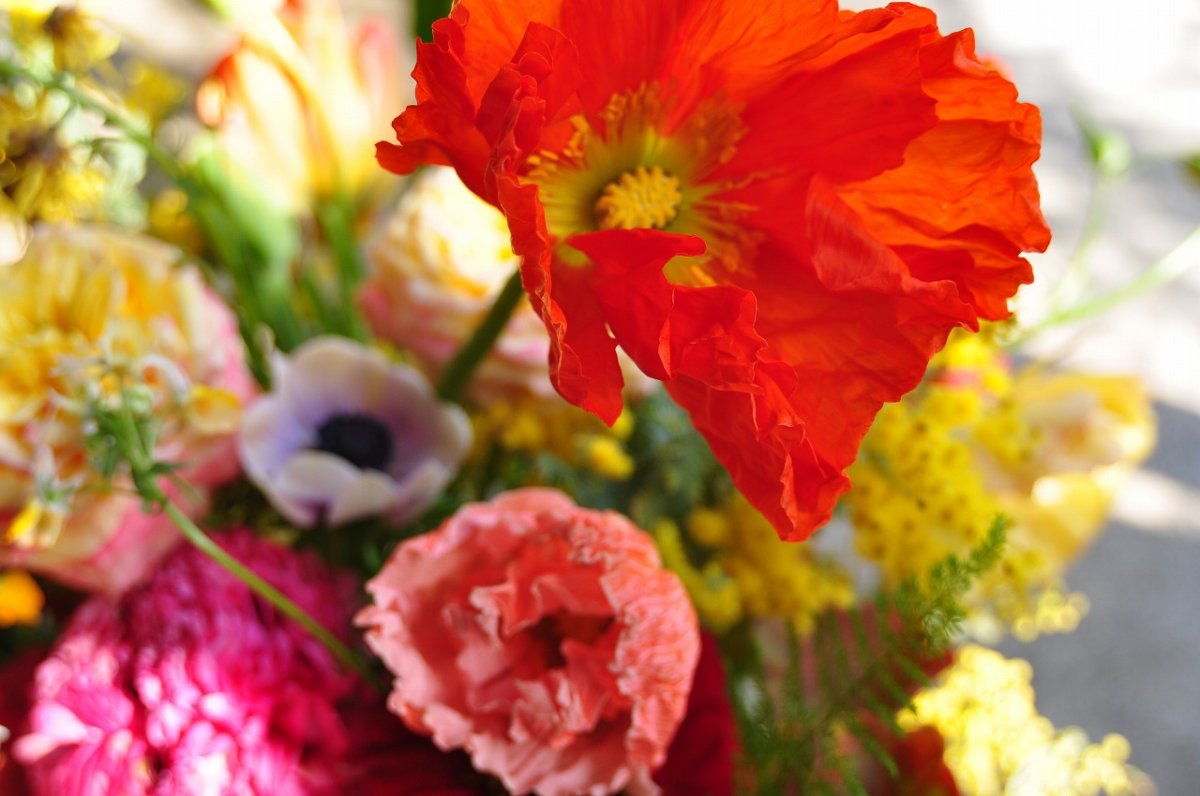 画像3: free style 123 (3)