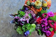 画像6: -歓送別-5,000円 ボリューム参考 (6)