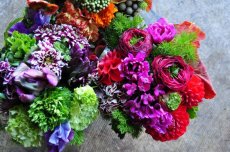 画像5: -歓送別-5,000円 ボリューム参考 (5)