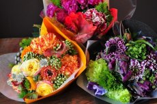 画像2: -歓送別-5,000円 ボリューム参考 (2)