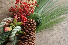 画像3: 大王松のしめ飾り (3)