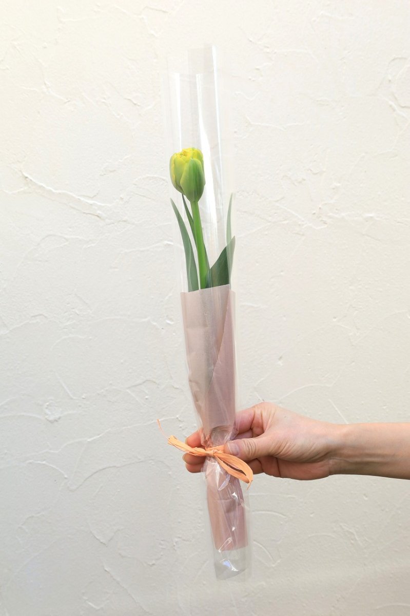 画像1: 1本ラップ (1)