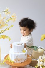 画像6: --送料込みレンタルセット--バニラ (6)