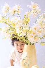 画像4: --送料込みレンタルセット--バニラ (4)