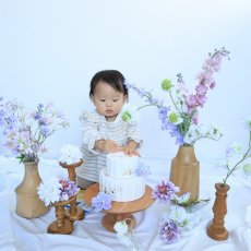 画像2: --送料込みレンタルセット--プリンセス (2)