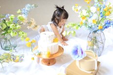 画像6: --送料込みレンタルセット--ソーダ (6)