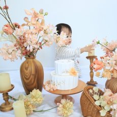 画像2: --送料込みレンタルセット--テラコッタ (2)