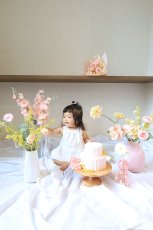 画像4: --送料込みレンタルセット--スイート (4)