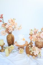 画像1: --送料込みレンタルセット--テラコッタ (1)