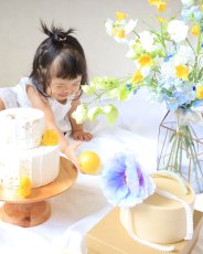 画像1: --送料込みレンタルセット--ソーダ (1)