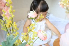 画像3: --送料込みレンタルセット--スイート (3)