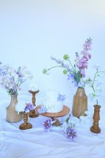 画像1: --送料込みレンタルセット--プリンセス (1)