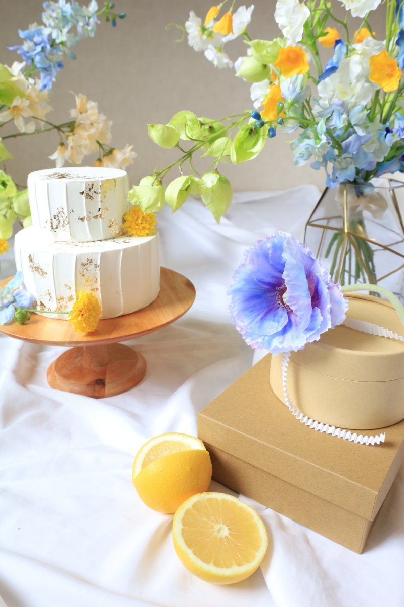 画像5: --送料込みレンタルセット--ソーダ (5)