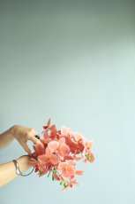 画像5: ニュアンスオレンジピンクの胡蝶蘭ブーケ (5)