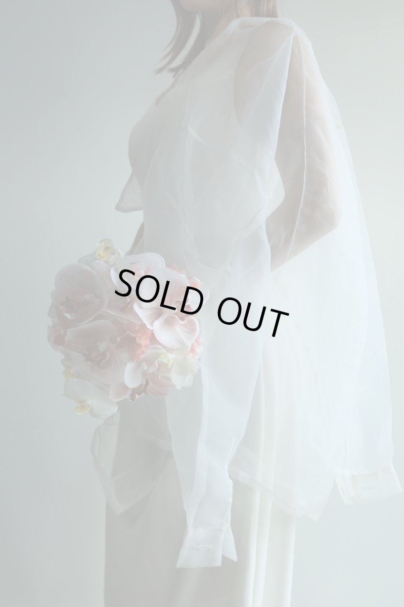 画像4: 胡蝶蘭のラウンドブーケ (4)