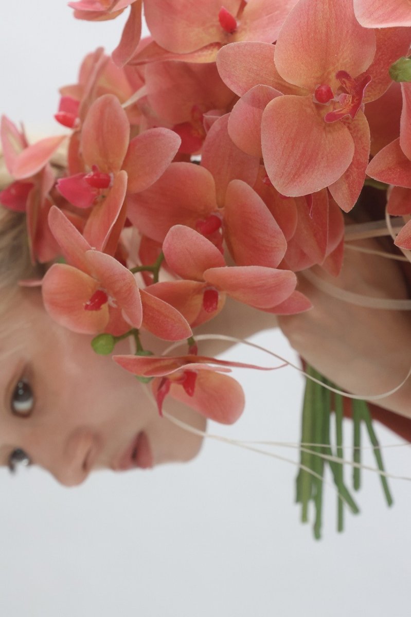 画像5: テラコッタオレンジ　胡蝶蘭のブーケ (5)