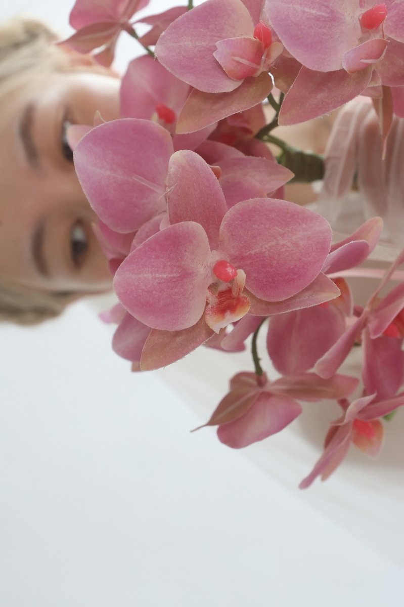 画像5: くすみピンク　胡蝶蘭のブーケ (5)