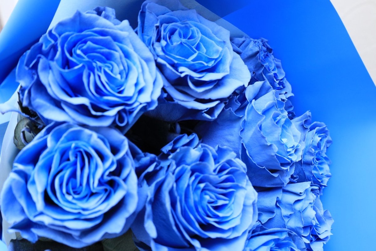 画像2: ライトブルーのバラの花束○選べる本数！ (2)