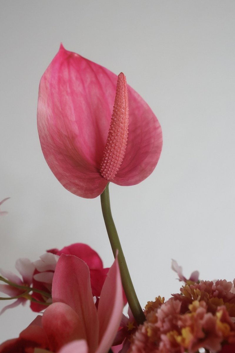 画像5: ピンクのリゾートブーケ (5)