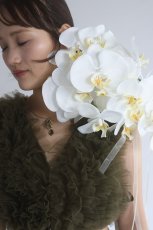 画像2: 白い胡蝶蘭をたっぷり使ったkatamariブーケ (2)