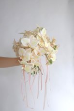 画像4: クリームイエロー　胡蝶蘭のブーケ (4)