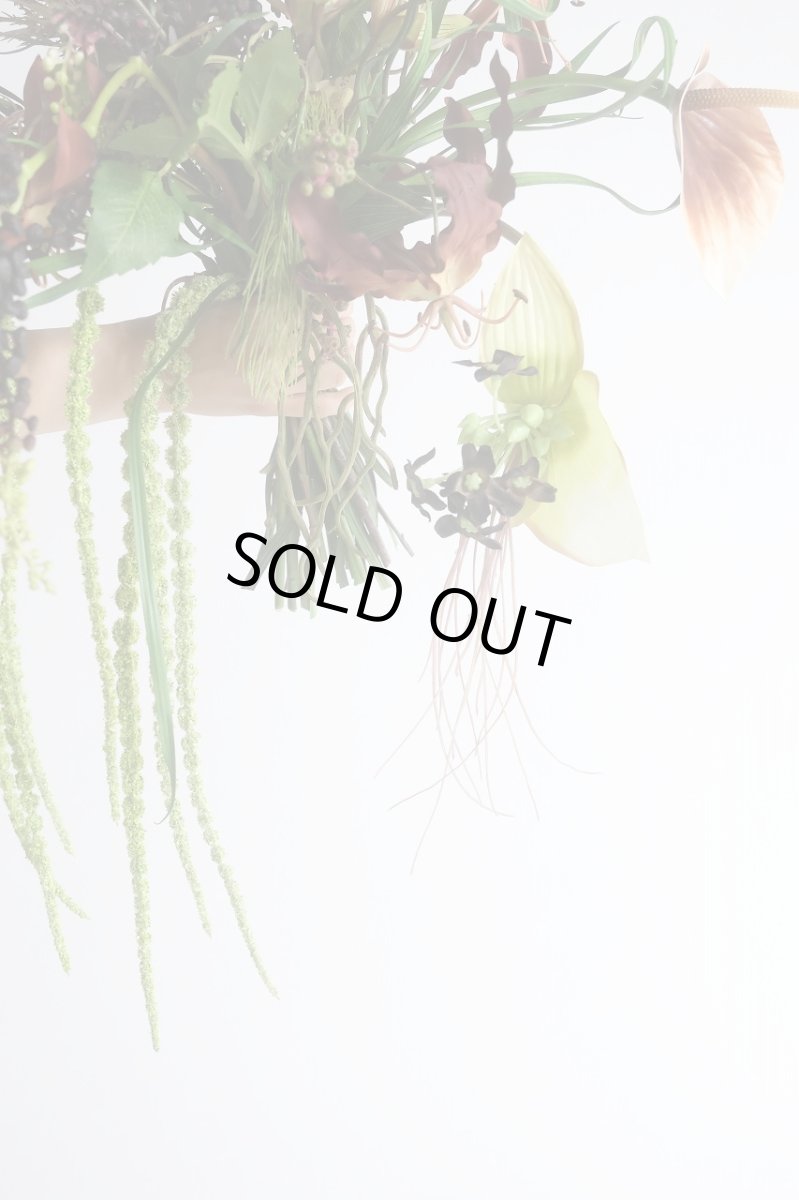 画像7: 山ごぼうとアマランサスの個性的ブーケ (7)