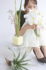 画像5: 白い胡蝶蘭をたっぷり使ったkatamariブーケ (5)