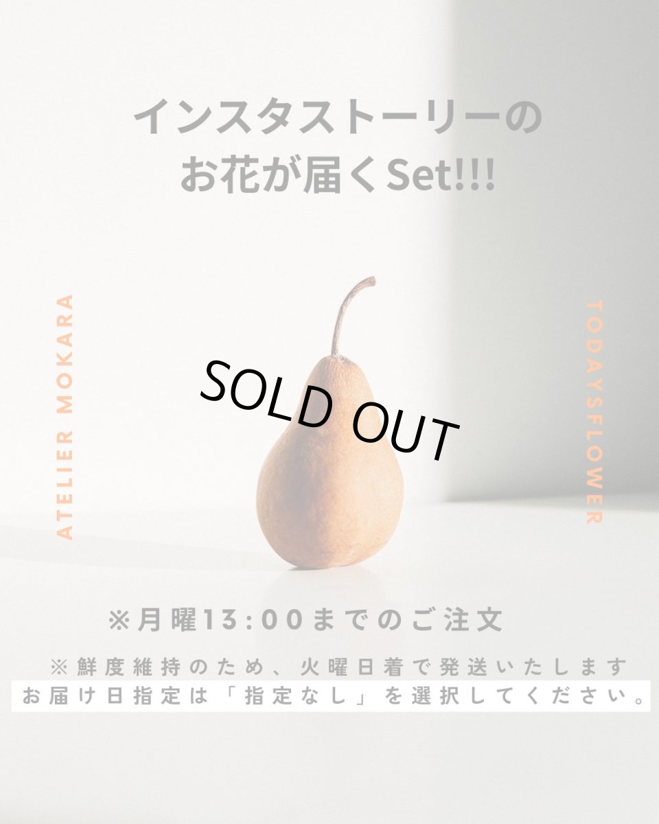 画像1: 【送料無料◎】インスタストーリーの写真のお花が届くSet!!! (1)