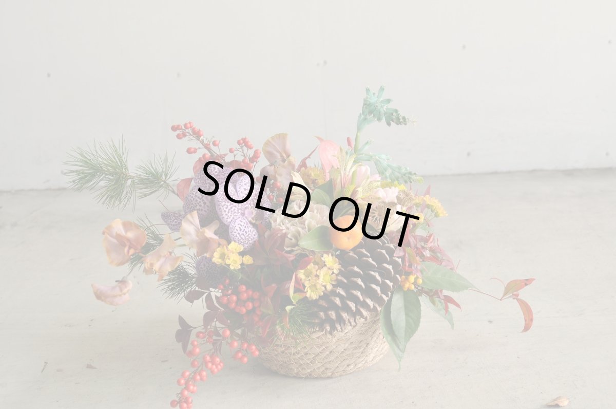 画像4: 正月アレンジ sample (4)