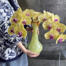 画像1: インスタストーリーの写真のお花が届くSet!!! (1)