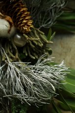 画像4: 店長が作ったクリスマスとお正月兼用のリースno.5 (4)