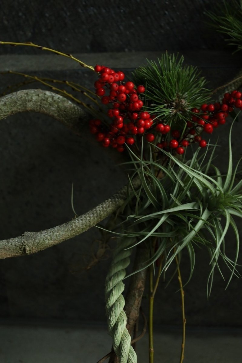 画像5: 松「お菊の松」のしめ飾り (5)