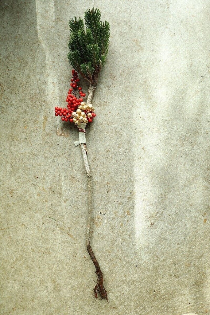 画像1: 白寿富士龍　根引き松のお飾り (1)