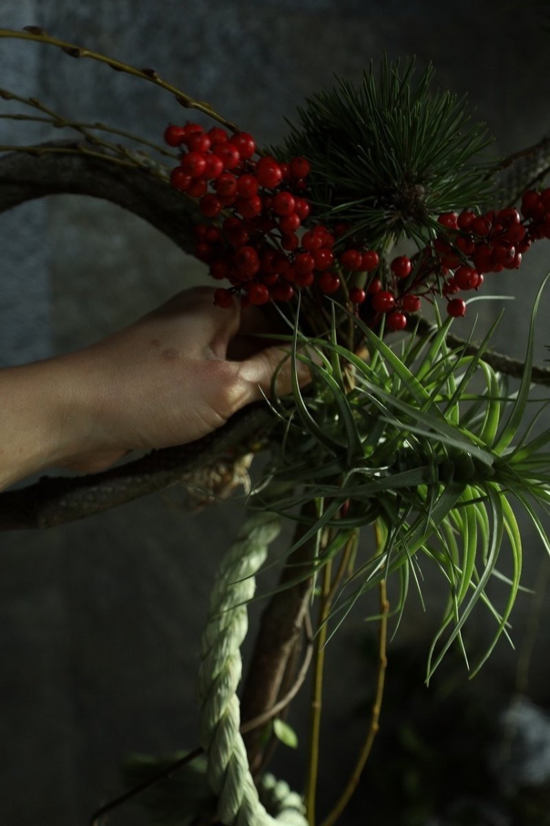 画像3: 松「お菊の松」のしめ飾り (3)