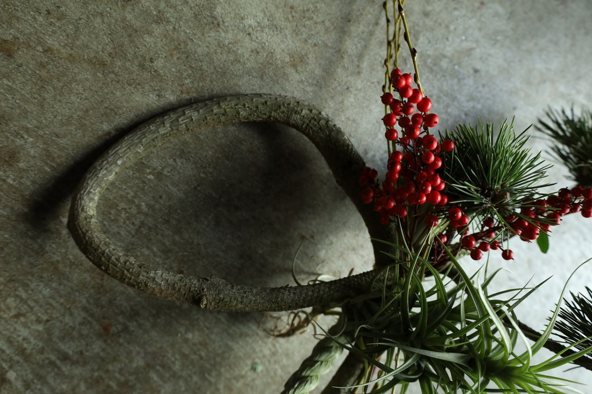 画像4: 松「お菊の松」のしめ飾り (4)