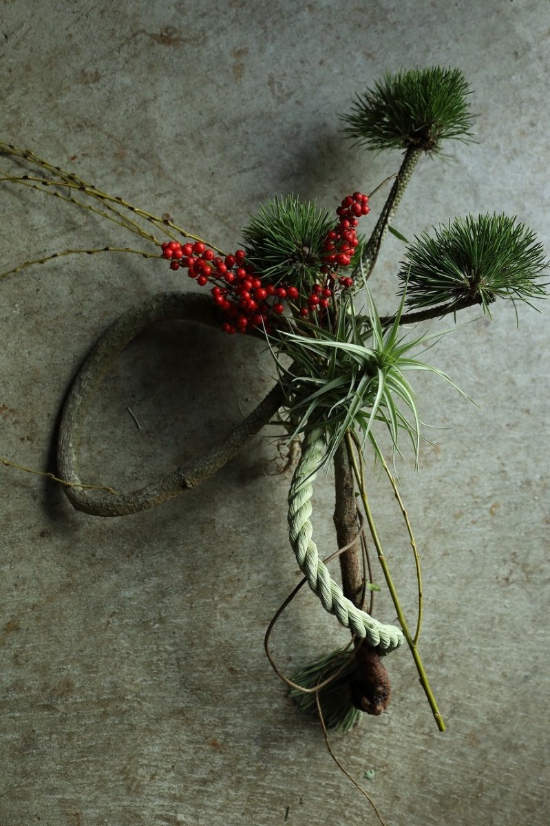 画像2: 松「お菊の松」のしめ飾り (2)