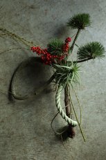 画像2: 松「お菊の松」のしめ飾り (2)