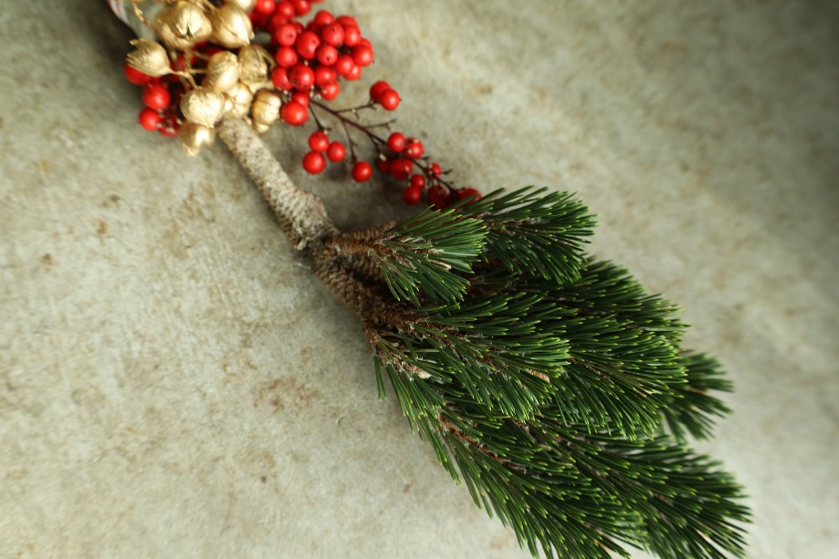 画像4: 白寿富士龍　根引き松のお飾り (4)