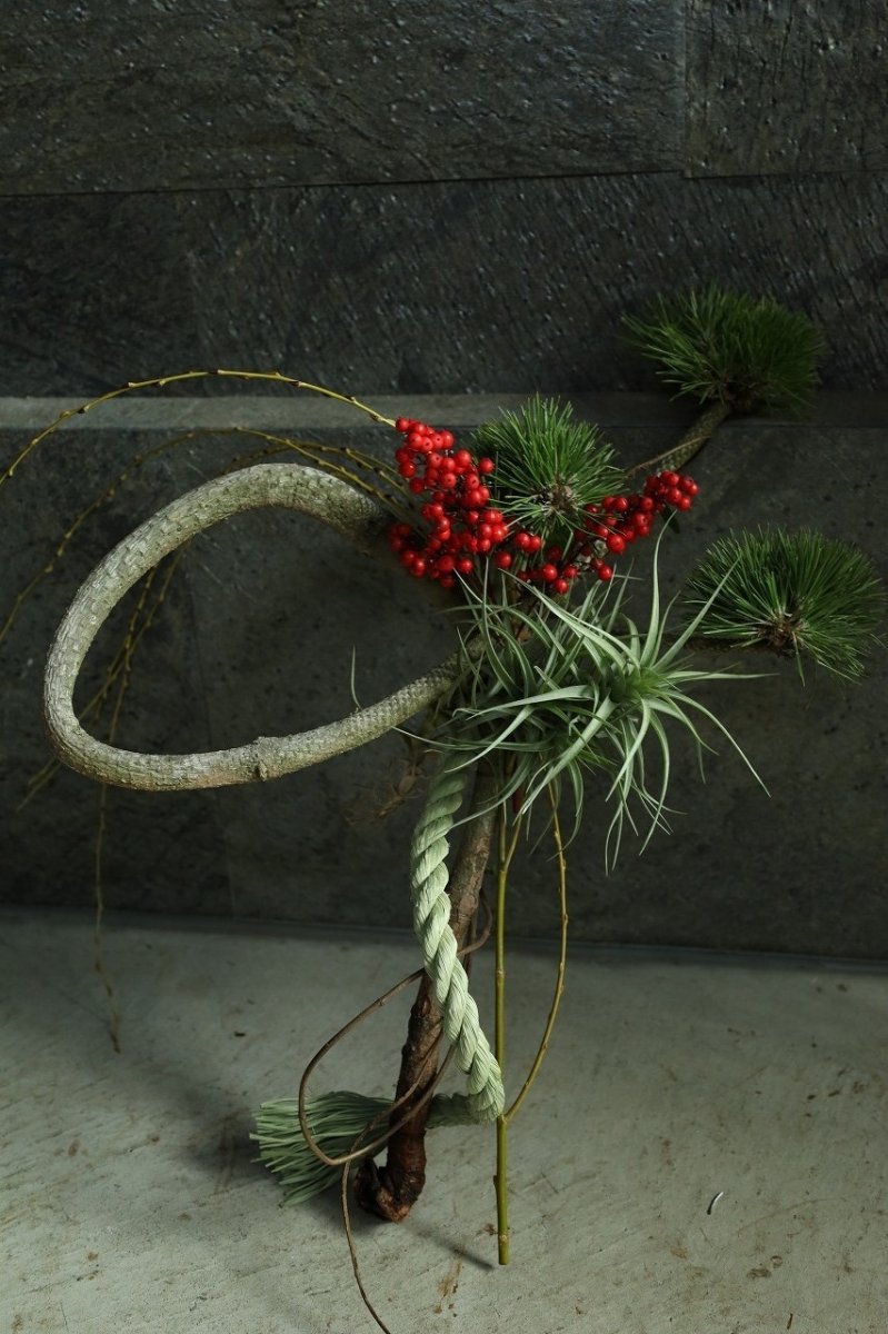 画像1: 松「お菊の松」のしめ飾り (1)