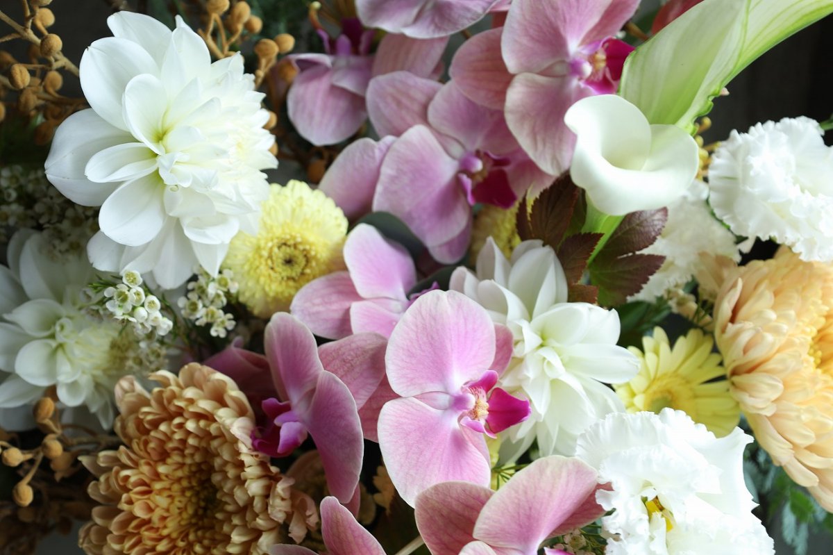 画像2: osonae2 (2)