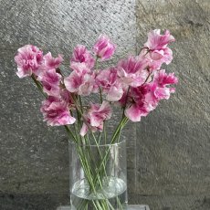 画像2: インスタストーリーの写真のお花が届くSet!!! (2)