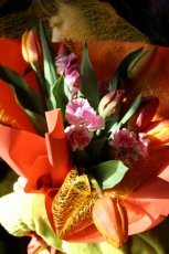 画像1: お得なおまかせチューリッププラン【今ご予約でチューリップ1本増量中!!!キャンペーン】 (1)