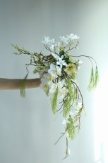 画像1: 白胡蝶蘭と松のキャスケードブーケ（ホワイト×グリーン）a1 (1)