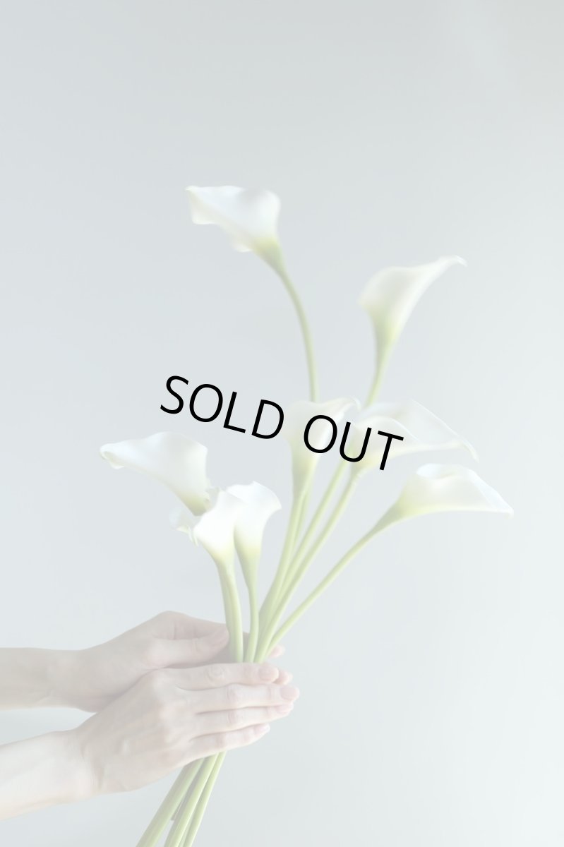 画像1: 白いカラーのシンプルブーケ｜アーティフィシャルフラワー（クラッチ）a4 (1)