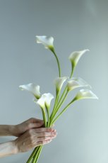 画像1: 白いカラーのシンプルブーケ｜アーティフィシャルフラワー（クラッチ）a4 (1)