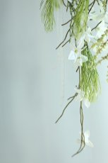 画像5: 白胡蝶蘭と松のキャスケードブーケ（ホワイト×グリーン）a1 (5)