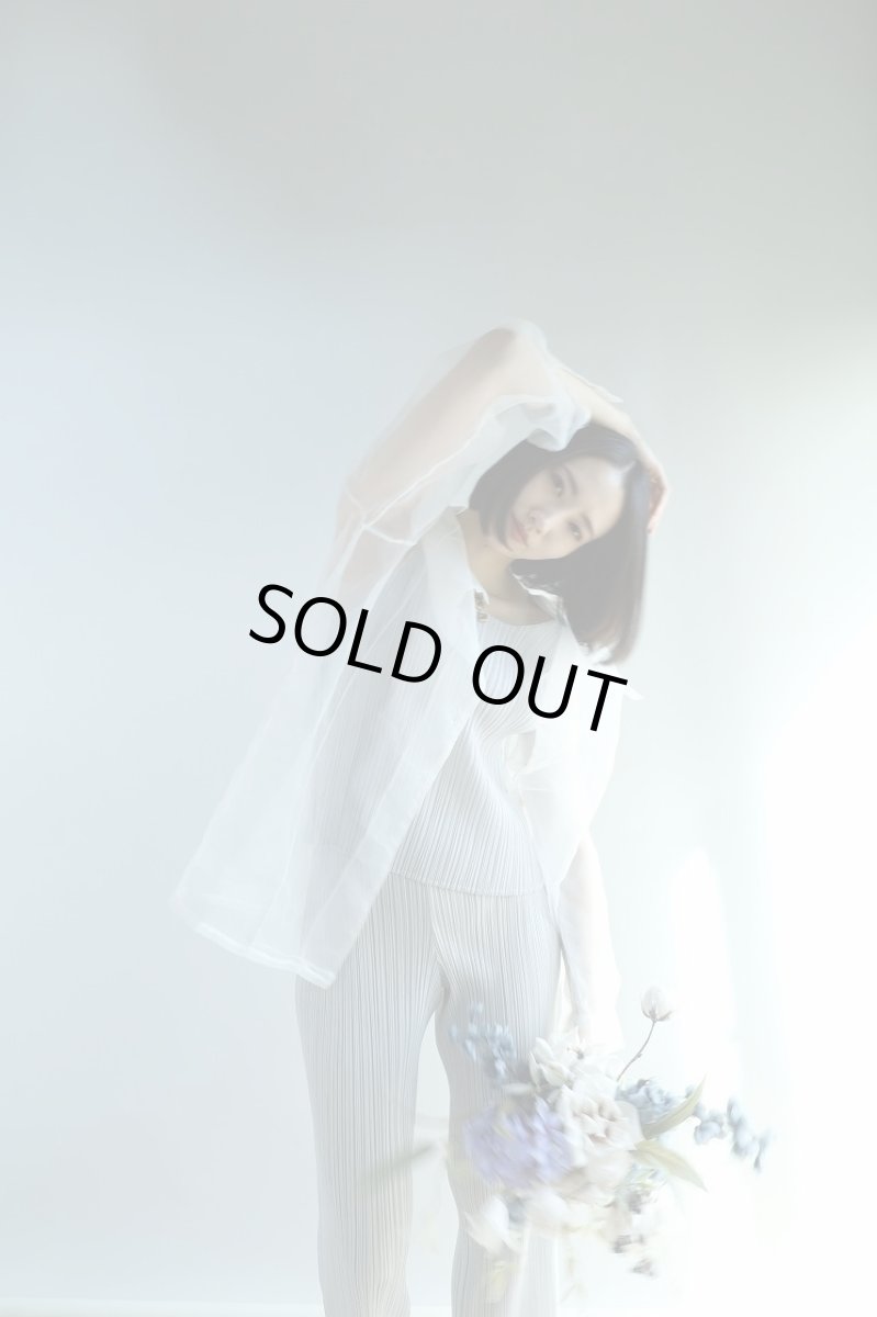 画像4: グレイデルフィニウム×ベージュローズのブーケ a3 (4)