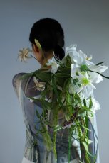 画像6: 揺れるアマランサスとロングラインa15 (6)