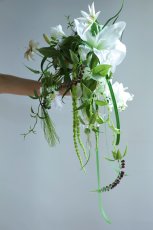 画像1: 揺れるアマランサスとロングラインa15 (1)