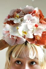 画像4: くすみピンク胡蝶蘭の丸いブライダルブーケ｜上品ナチュラルスタイルb4 (4)